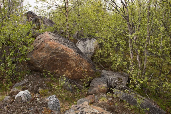 Μεγάλοι βράχοι στην τούνδρα πάνω από τον Αρκτικό κύκλο, Ρωσία — Φωτογραφία Αρχείου
