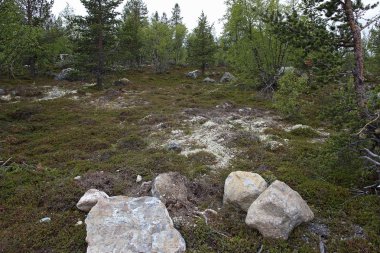 Büyük kayalara Tundra üzerinde Arctic Circle, Rusya Federasyonu