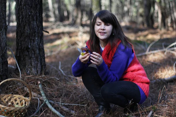 Fille Dans Forêt Collecte Champignons — Photo