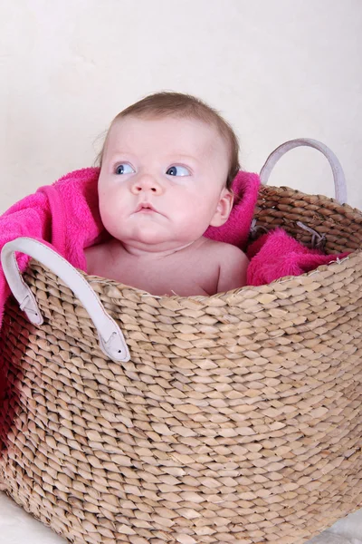 Baby in basket — Stock Photo, Image