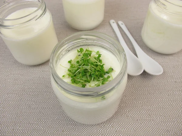 Yogurt from yogurt maker with basil sprouts — Stock Photo, Image