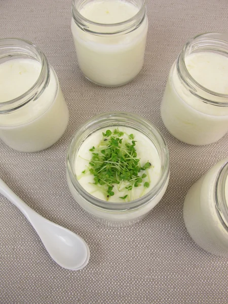 Yogurt da produttore di yogurt con germogli di basilico — Foto Stock