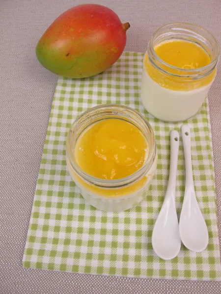 Yogurt from yogurt maker with mango — Stock Photo, Image