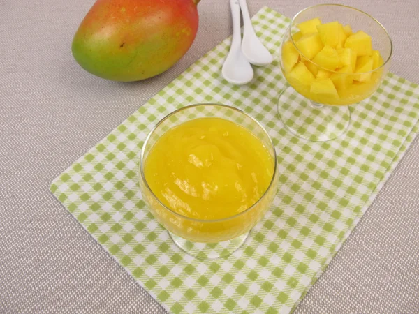 Hemgjord mango puré — Stockfoto