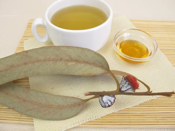 Herbata eukaliptusowa z miodem — Zdjęcie stockowe