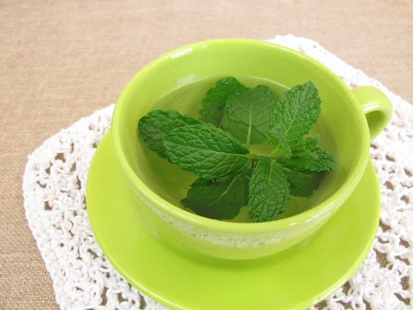 Herbal tea with fresh mint leaves — Stock Photo, Image