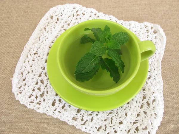 Tisana con foglie di menta fresca — Foto Stock