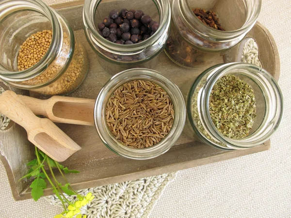 Herbes séchées et épices dans des pots — Photo