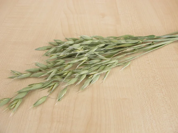 Oat florets on wooden board — Stock Photo, Image