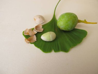 Kırık Ginkgo cevizi, kabuksuz tohum, Ginkgo biloba