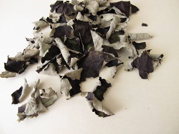 Feuilles Mûres Fermentées Séchées Pour Thé Noir Sans Caféine Sur — Photo