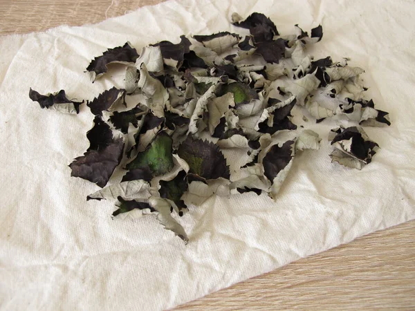 Feuilles Mûres Fermentées Séchées Pour Thé Noir Fait Maison — Photo