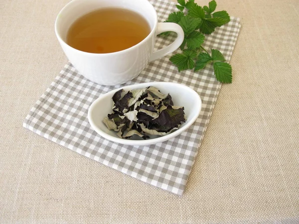 Τσάι Από Φύλλα Βατόμουρου Μαύρο Τσάι Από Φύλλα Βατόμουρου Που — Φωτογραφία Αρχείου