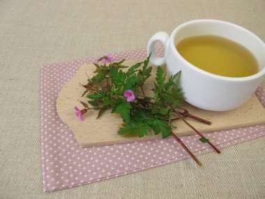 Roberts sardunyasıyla bitki çayı, vinç gagası, Geranium robertianum.