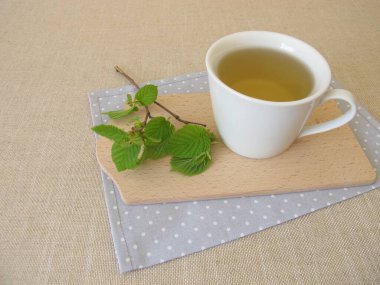 Fındık yaprağı çayı ve fındık yaprağı yapraklı dal.