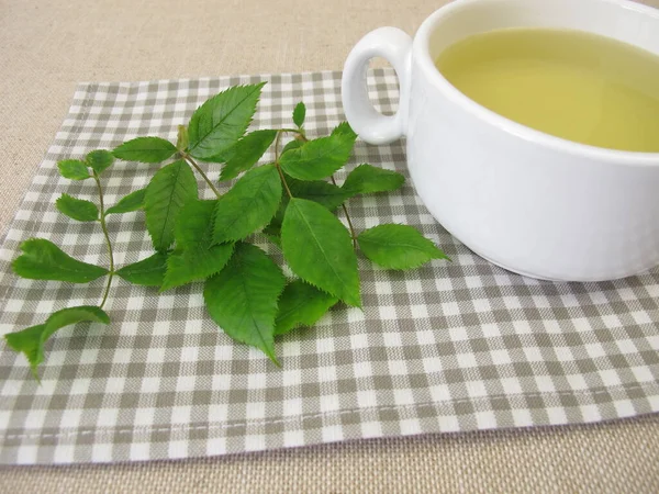 Eine Tasse Kräutertee Mit Hunderosenblättern — Stockfoto