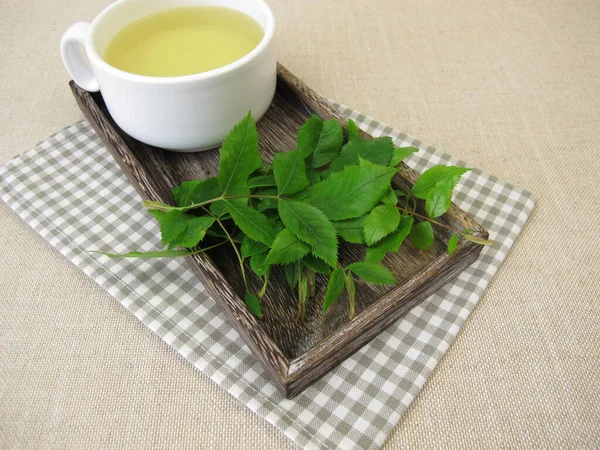 Une Tasse Tisane Aux Feuilles Rose Chien — Photo