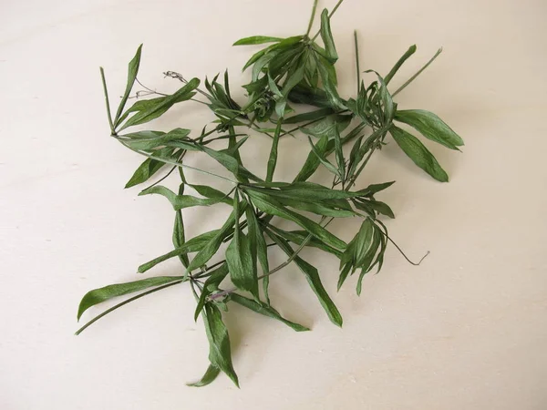 Getrockneter Waldmeister Auf Einem Holzbrett — Stockfoto