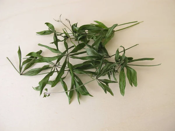 Getrockneter Waldmeister Auf Einem Holzbrett — Stockfoto