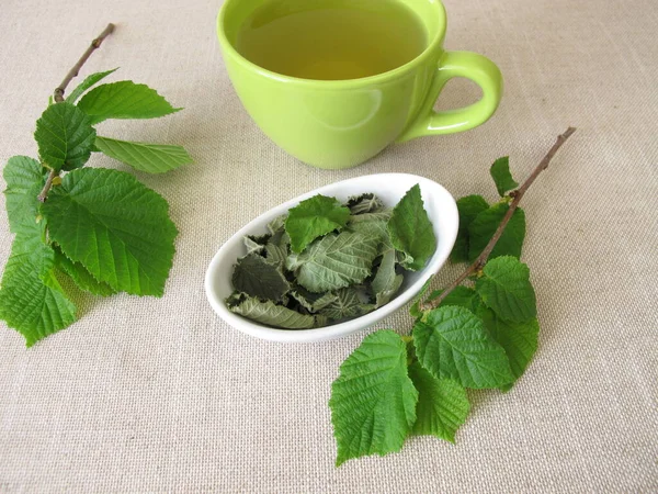 Τσάι Από Φύλλα Φουντουκιού Αποξηραμένα Φύλλα Φουντουκιού Στον Αφυδατωτή — Φωτογραφία Αρχείου