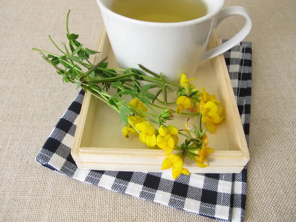 Una Tazza Tisana Con Fiori Gialli Trifoglio Uccello Piede — Foto Stock