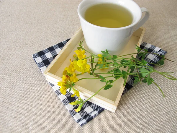 Una Tazza Tisana Con Fiori Gialli Trifoglio Uccello Piede — Foto Stock