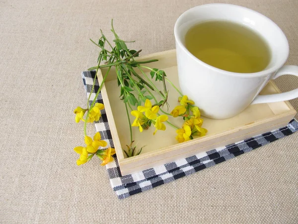 Une Tasse Tisane Avec Des Fleurs Jaunes Trèfle Oiseaux Pied — Photo