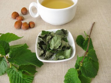 Kurumuş fındık yaprağından bir fincan fındık yaprağı çayı.