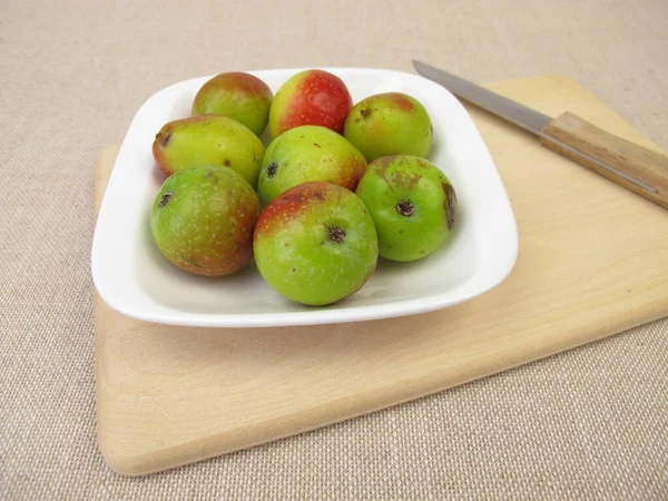 Apple Fruits Sorb Tree Sorbus Domestica — Stock Photo, Image