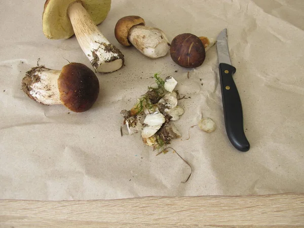 Pilze Putzen Und Mit Einem Messer Steinpilzen Und Lorbeerblättern Zubereiten — Stockfoto