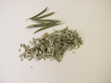 Zeytin yaprağı çayı için zeytin ağacından kurumuş ve doğranmış yapraklar.