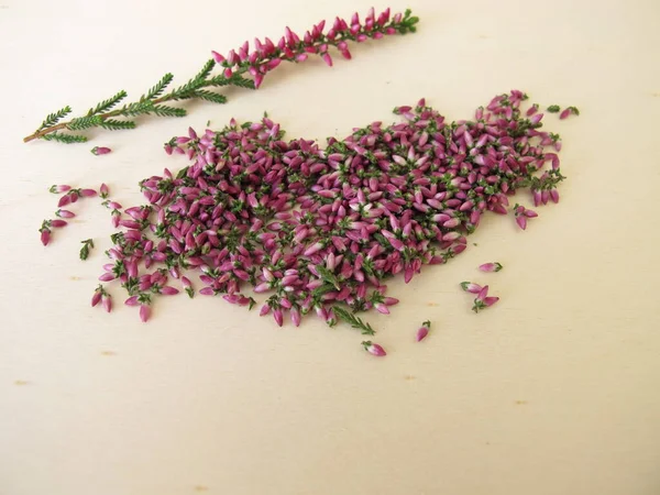 Flores Brezo Rosa Secas Una Tabla Madera —  Fotos de Stock