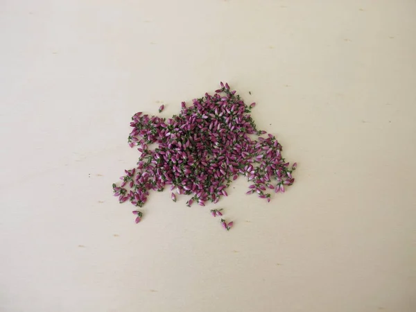 Flores Urze Rosa Secas Uma Placa Madeira — Fotografia de Stock