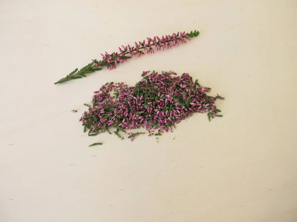 Hierba Brezo Seca Con Hojas Flores Una Tabla Madera —  Fotos de Stock