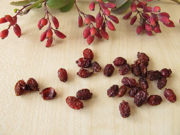 Barberry twigs and dried barberries — Stock Photo, Image