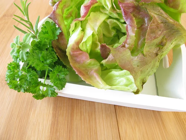 Lettuce and herbs — Stock Photo, Image