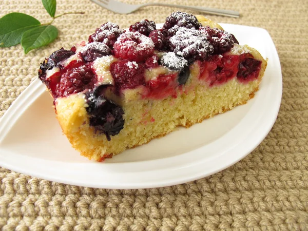 Piece of berry cake — Stock Photo, Image