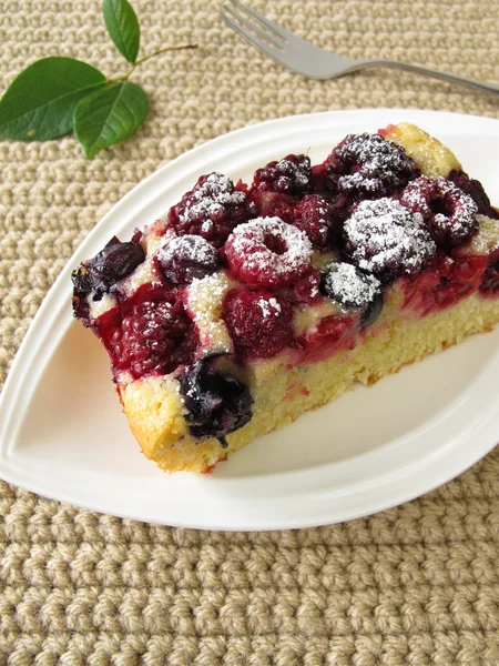 Piece of berry cake — Stock Photo, Image