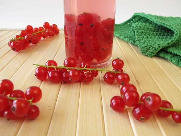 Currant liqueur — Stock Photo, Image