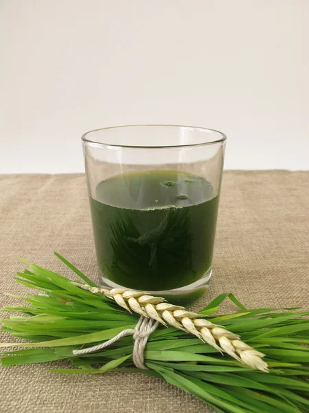 Fresh wheat grass juice — Stock Photo, Image