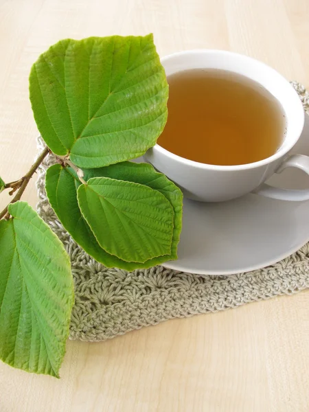 Witch hazel tea — Stock Photo, Image