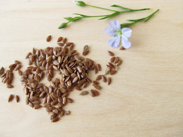 Linhaça e flor de linho azul — Fotografia de Stock