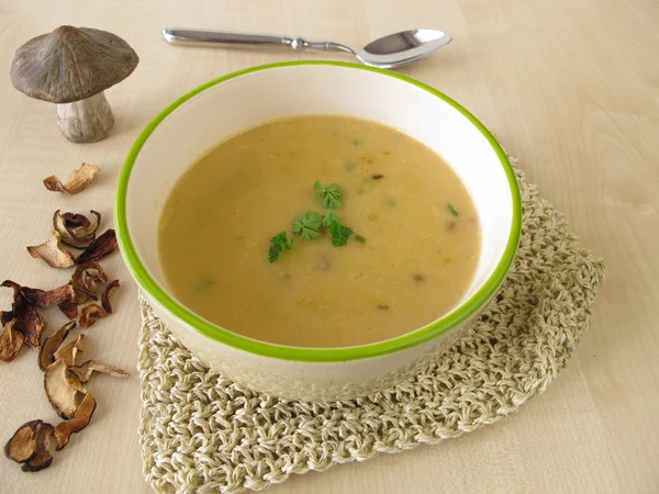 Soupe à la crème aux champignons — Photo