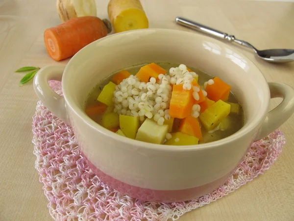 Sopa de legumes com cevada de pérola — Fotografia de Stock