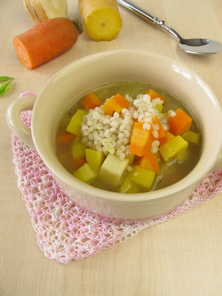 Gemüsesuppe mit Perlgerste — Stockfoto