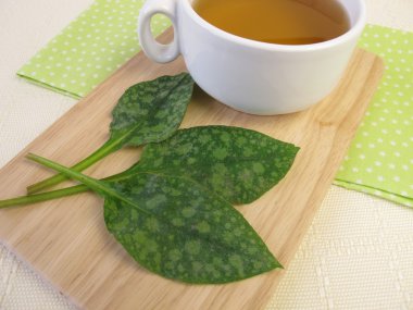 Lungwort çay