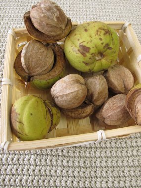 Küçük sepet içinde shellbark hickory fındık