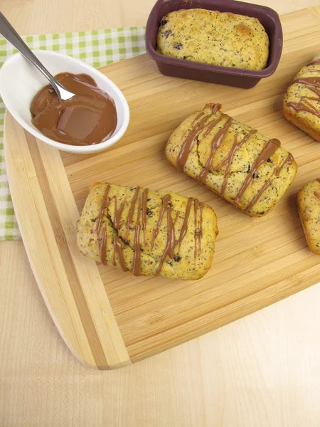 Kleine Mohnkuchen mit Schokoladenüberzug — Stockfoto