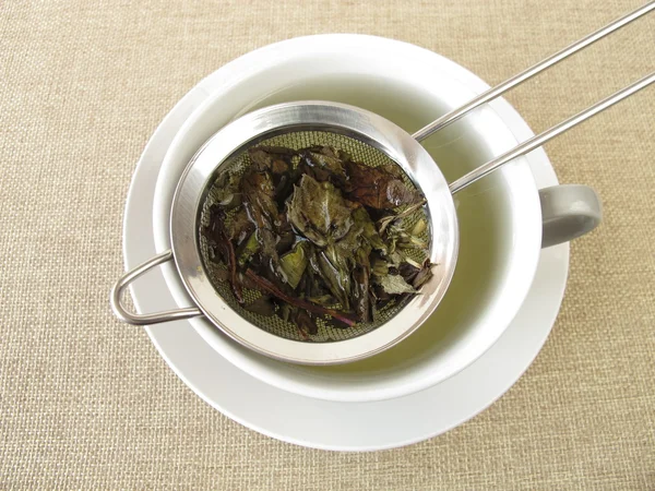 Peppermint το τσάι σε σουρωτήρι — Φωτογραφία Αρχείου
