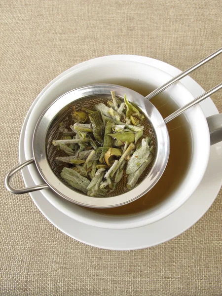 Горный чай в фильтре для чая — стоковое фото